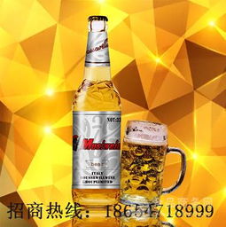 低端低價位山東啤酒廠生產330毫升小瓶啤酒批發加盟價格,產品報價